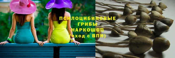 2c-b Бронницы