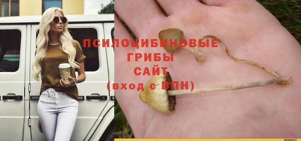 герыч Бугульма
